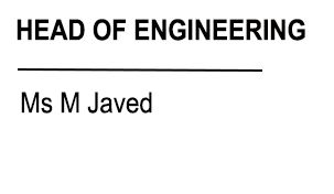 Ms m javed