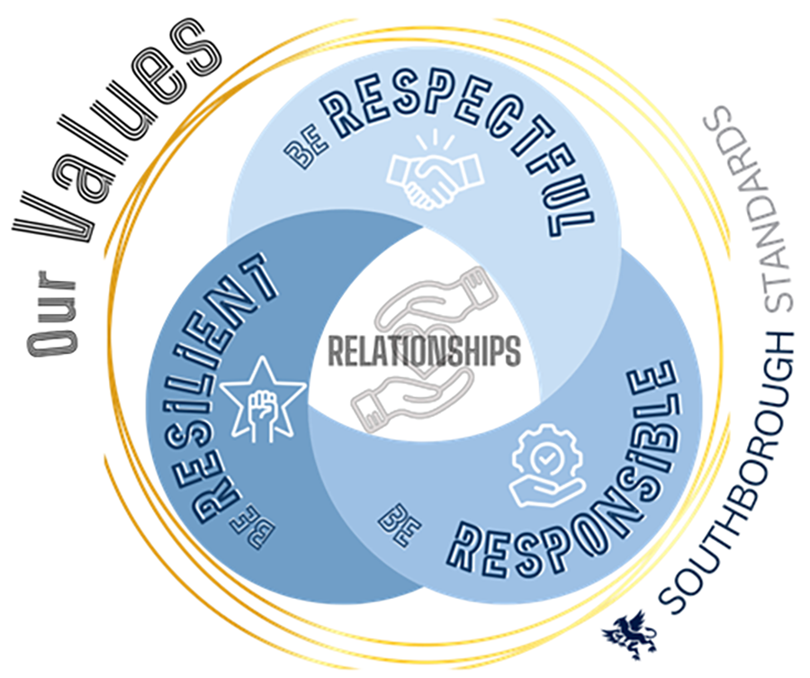 Ourvaluesgraphic