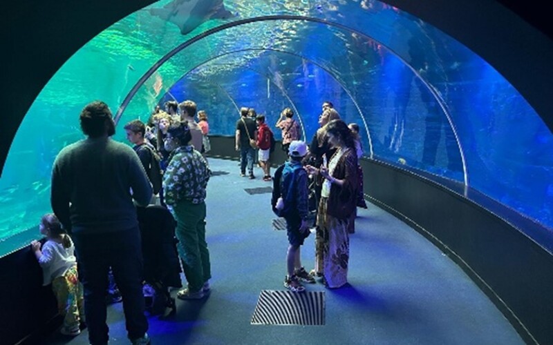 Trip to the French Opal Coast for cultural experiences and cuisine!
