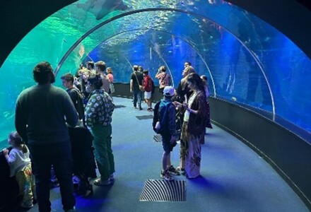 Trip to the French Opal Coast for cultural experiences and cuisine!