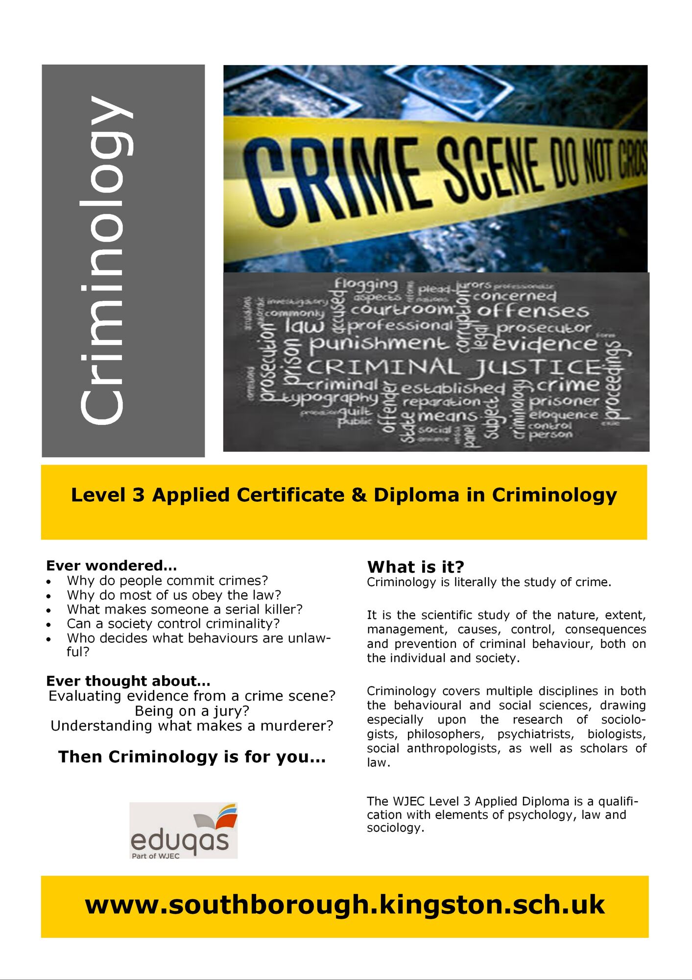 Criminology diploma l3 01